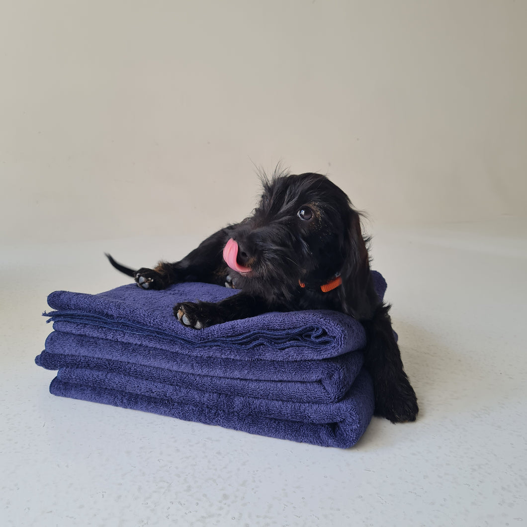 Glart Serviette pour chien, douce et absorbante, serviette pour animaux de  compagnie, serviette de bain pour chien en microfibres 80 x 55 cm, Rouge