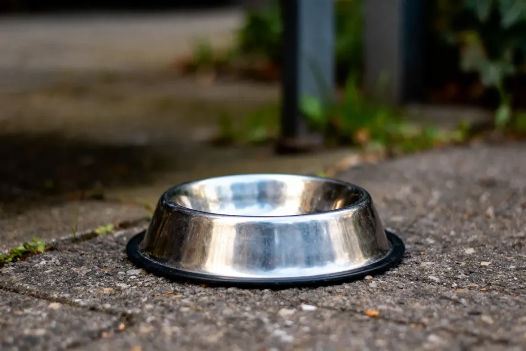 Bol métallique pour animaux posé sur le trottoir, herbe en arrière-plan.
