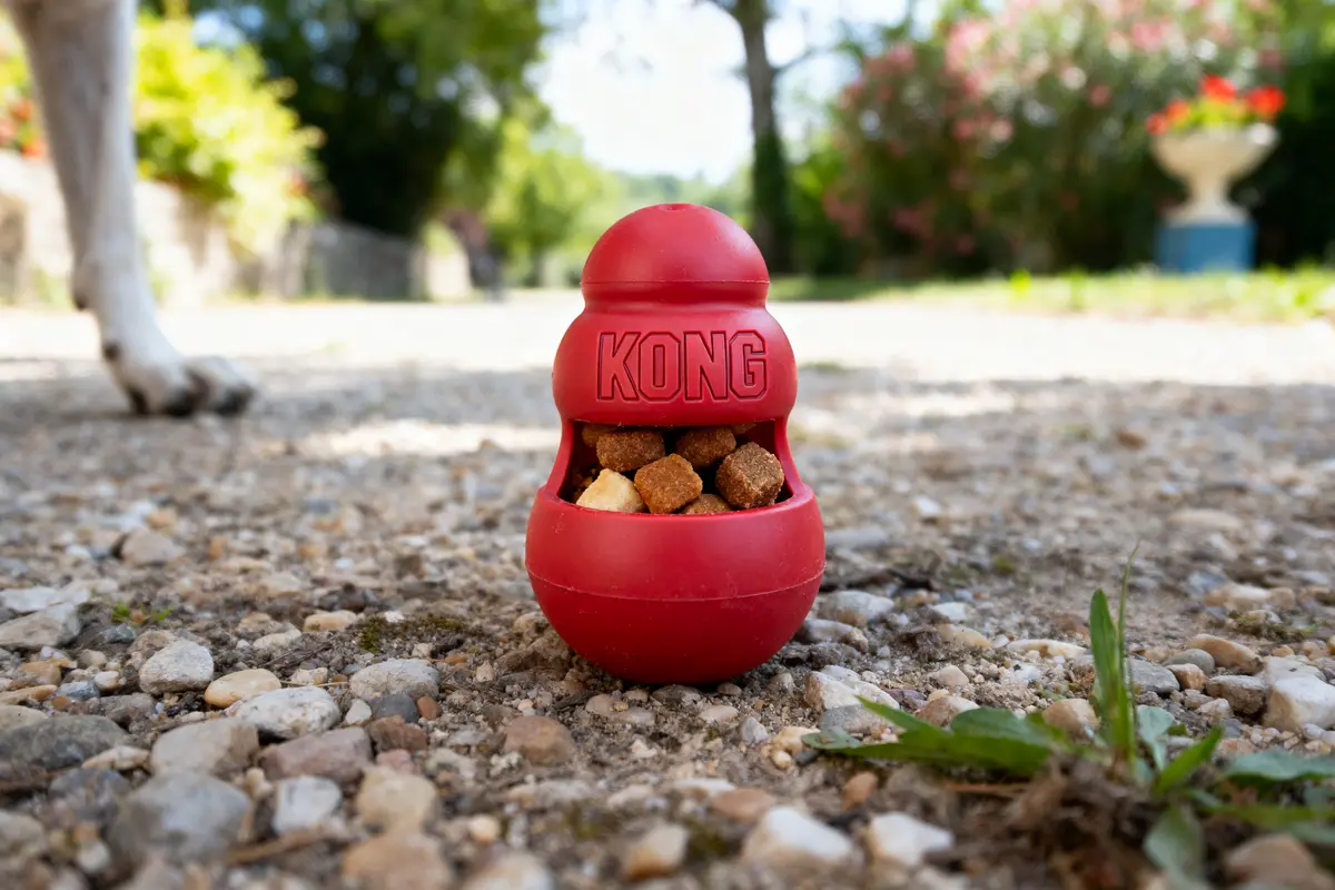 Jouet rouge Kong rempli de croquettes sur sol en gravier, arrière-plan nature floue et pattes de chien visibles.