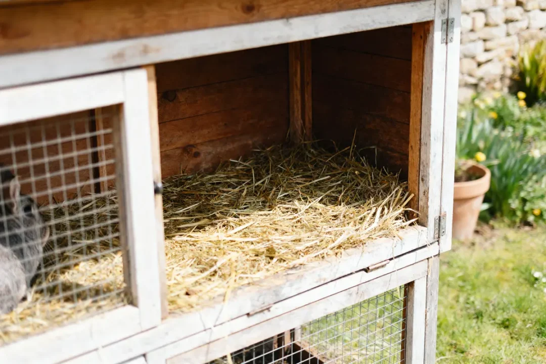 Clapier en bois avec foin, situé dans un jardin verdoyant.
